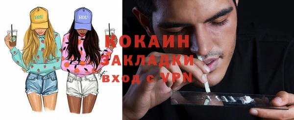 шишки Алексин