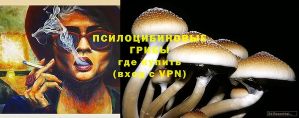 шишки Алексин