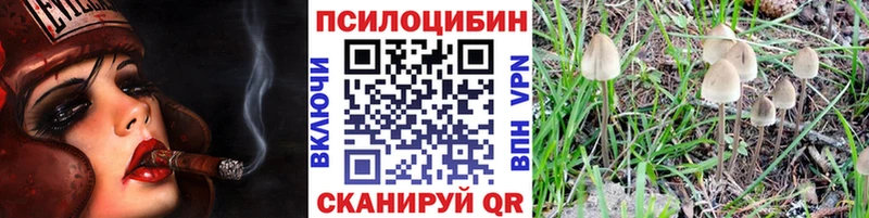 Псилоцибиновые грибы ЛСД  как найти закладки  Пущино 